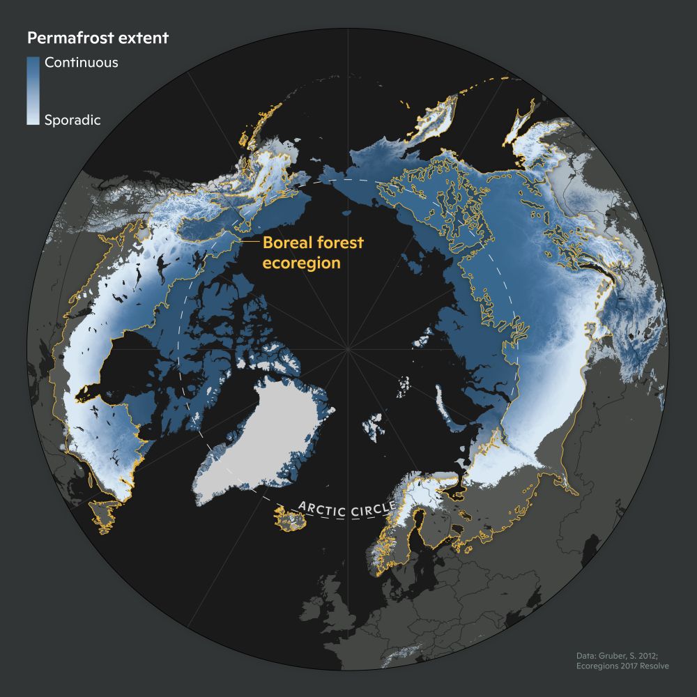 Black, blue, gray and yellow stereographic map depicts permafrost extent and the boreal forest ecoregion in the circumpolar north. Text: Data: Gruber, S, 2012. Ecoregions 2017 Resolve