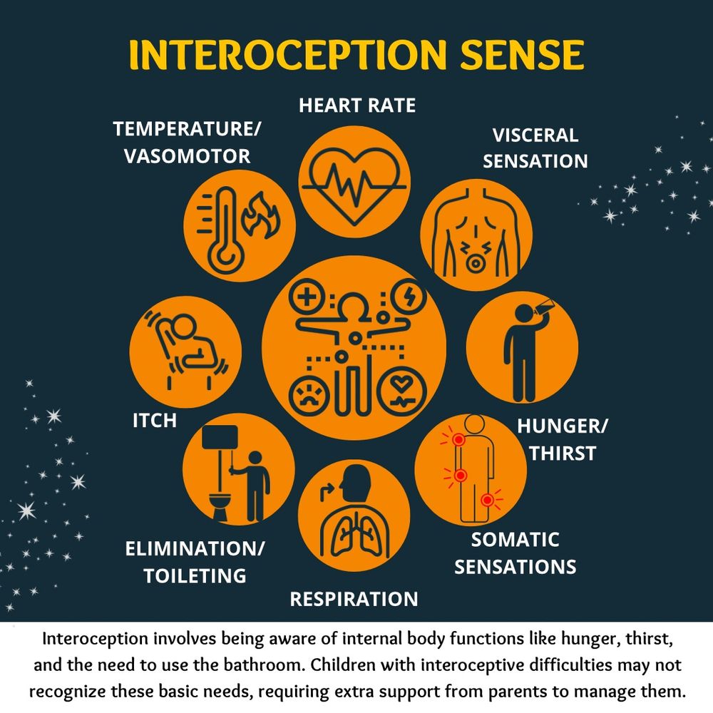 INTERCEPTION SENSE
HEART RATE
TEMPERATURE/ VASOMOTOR
VISCERAL
SENSATION
ITCH
HUNGER/ THIRST
ELIMINATION/ TOILETING
SOMATIC
SENSATIONS
RESPIRATION
Interception involves being aware of internal body functions like hunger, thirst, and the need to use the bathroom. Children with interceptive difficulties may not recognize these basic needs, requiring extra support from parents to manage them.