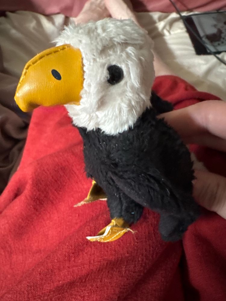 small bald eagle stuffie