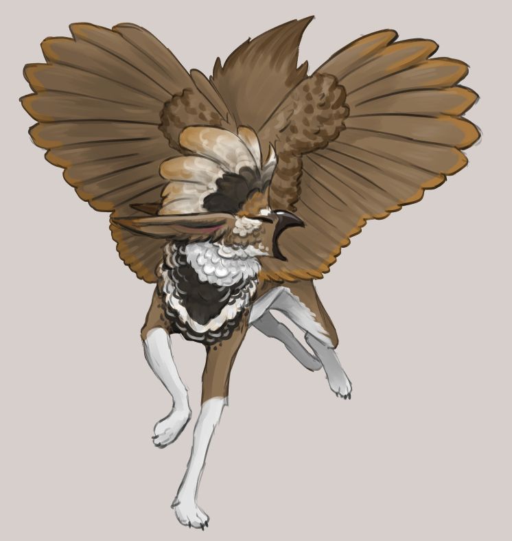 a bird cat/dog like creature leaps towards the screen, it has killdeer bird colouring and a cockatoo like crest on its head