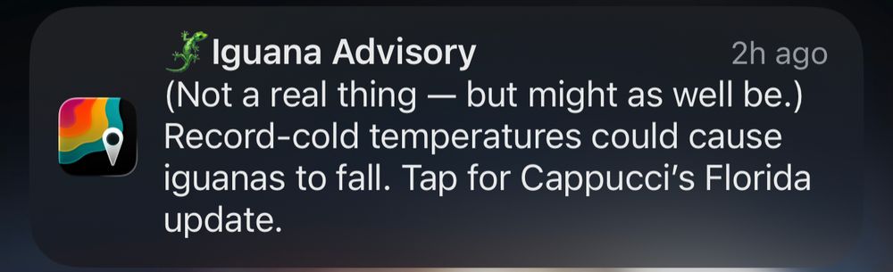 Screenshot of a real weather app alert 

Iguana Advisory
2h ago
(Not a real thing - but might as well be.)
Record-cold temperatures could cause iguanas to fall. Tap for Cappucci's Florida update.