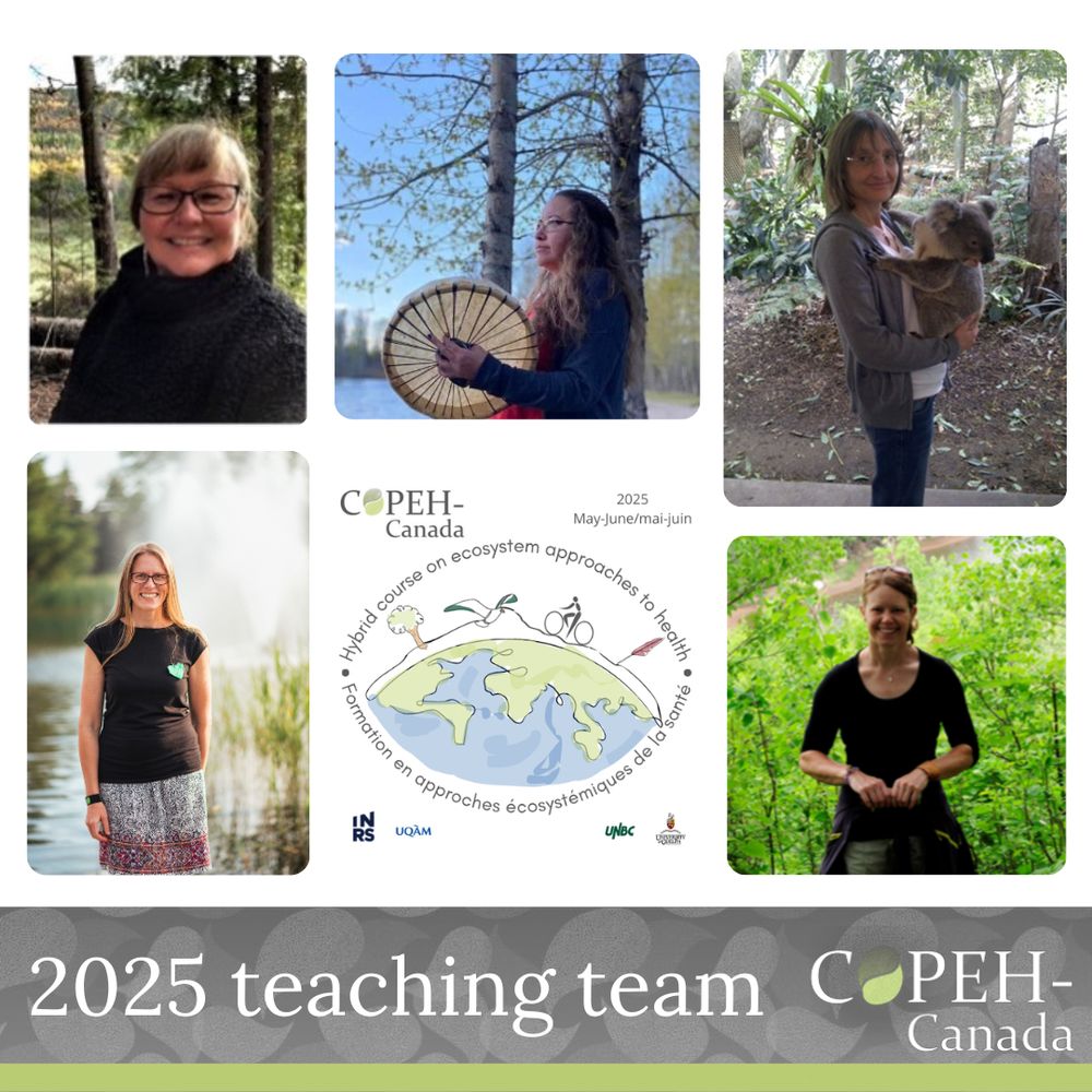 Pictures of teaching team members