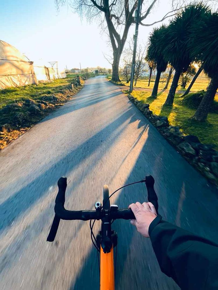 Mi bicicleta en una carretera. Amanece y se proyectan las sombras de unos árboles.