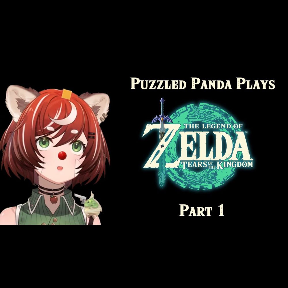 Puzzled Panda plays The Legend of Zelda Tears of the Kingdom - Part 1