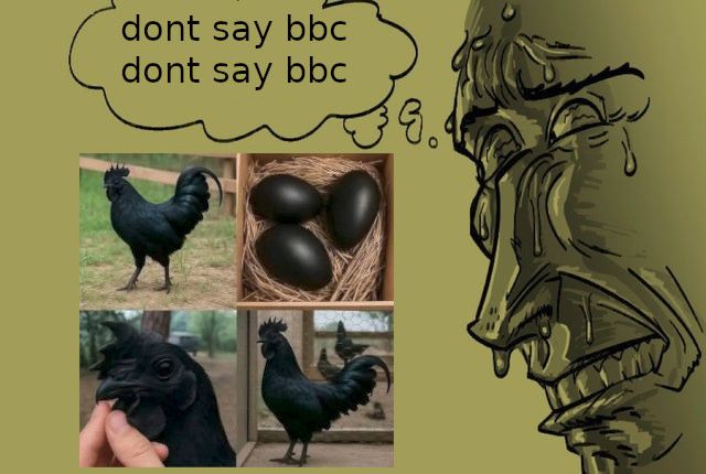 Comment image