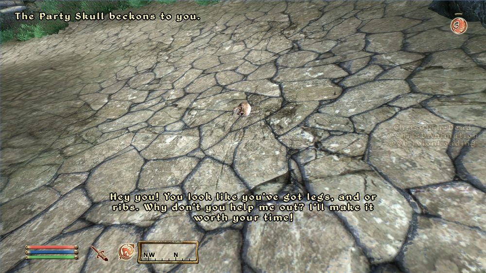 A screenshot of The Elder Scrolls 4: Oblivion, of the player looking at a lone skill in the middle of a dirt path.