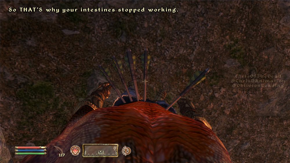 A screenshot of The Elder Scrolls 4: Oblivion, of the player looking down at their Argonian (Lizard person) man avatar's chest, which is exposed, and seeing multiple arrows sticking out of their stomach. Their body scales are red, they are wearing brass-like dwarven gauntlets, steel greaves, dwarven boots, and standing on a grassy patch of land at presumably sunset or sunrise, based on the orange-tinted sunlight hitting the scene.