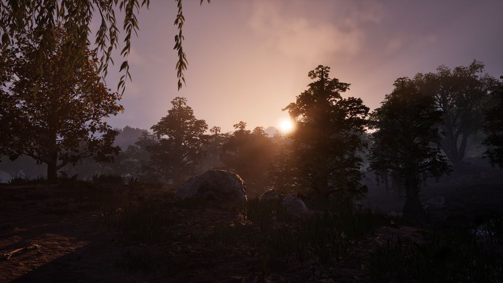 A screenshot of The Elder Scrolls 4: Oblivion Remastered, of a scenic view of tree-covered hills and trees in the wilderness at sunrise, with rays of light peeking through tree branches.