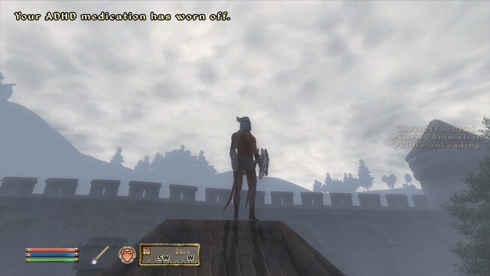 A screenshot of The Elder Scrolls 4: Oblivion, of the player, as an Argonian (lizard) man, standing on a rooftop in the city of Anvil, wearing nothing but his undergarments, some gauntlets, and the knight helmet of the crusader, with a sheathed sword at his side, and wielding the crusader's shield. They are standing before a foggy day sky, and the silhouettes of a large hill and some trees over the city walls are visible in the distance.