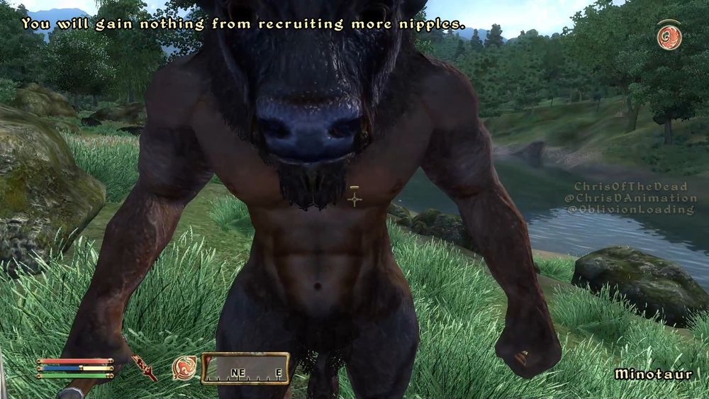 A screenshot of The Elder Scrolls 4: Oblivion, of the player looking at a Minotaur up close, on a grassy hill above a body of water. There are rocks around and trees off in the distance.