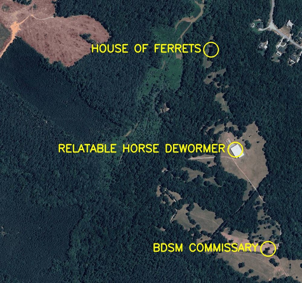 Aerial satellite photo labelled in bright yellow letters: 

1. Relatable Horse Dewormer
2. House of Ferrets
3. BDSM Commissary
