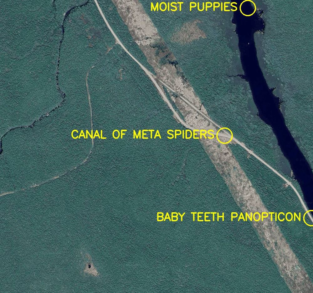 Aerial satellite photo labelled in bright yellow letters: 

1. Canal of Meta Spiders
2. Moist Puppies
3. Baby Teeth Panopticon
