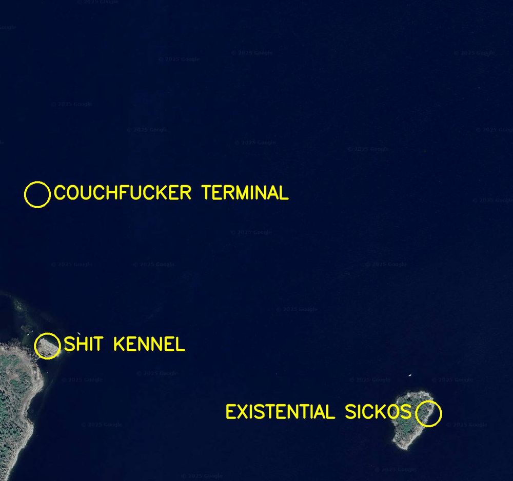 Aerial satellite photo labelled in bright yellow letters: 

1. Shit Kennel
2. Couchfucker Terminal
3. Existential Sickos
