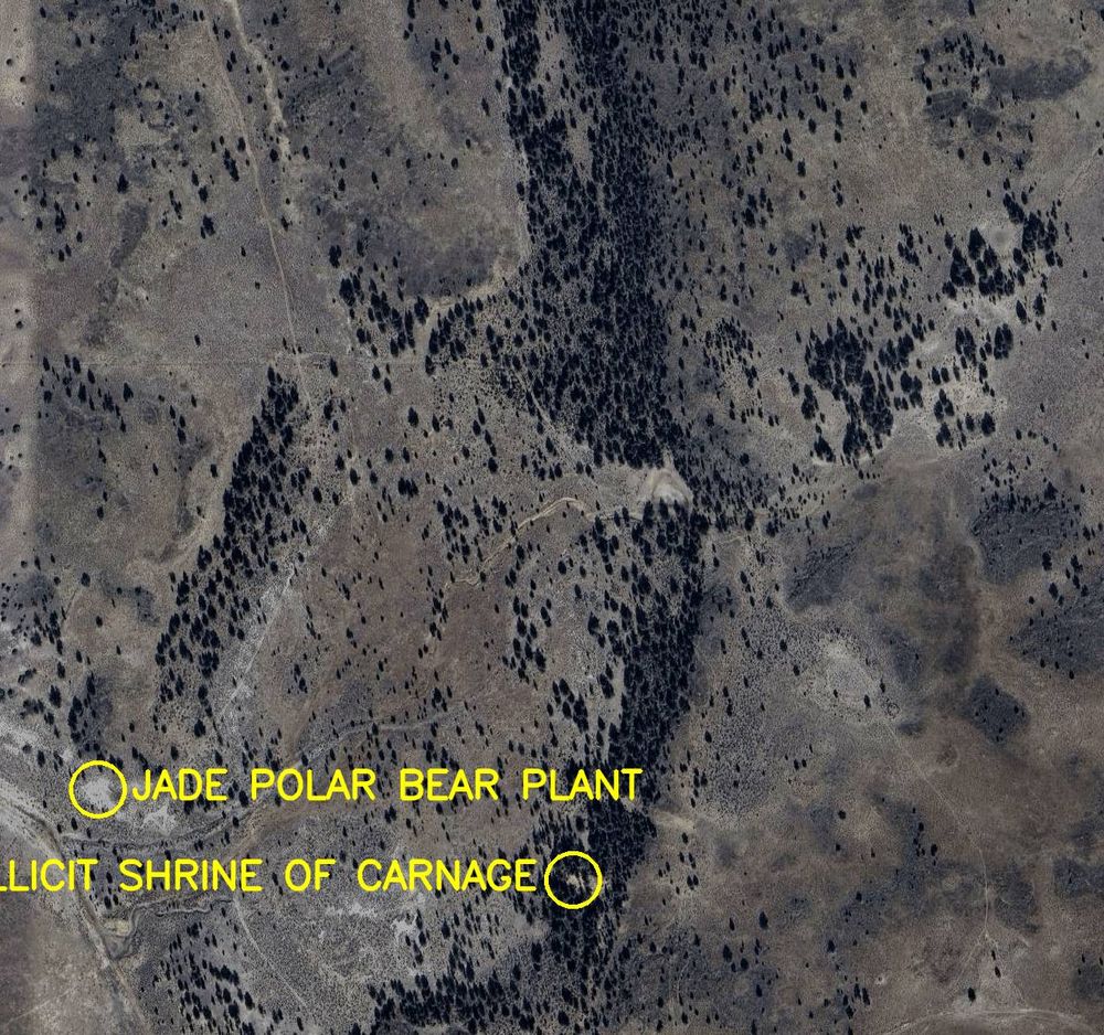 Aerial satellite photo labelled in bright yellow letters: 

1. Jade Polar Bear Plant
2. Illicit Shrine of Carnage
