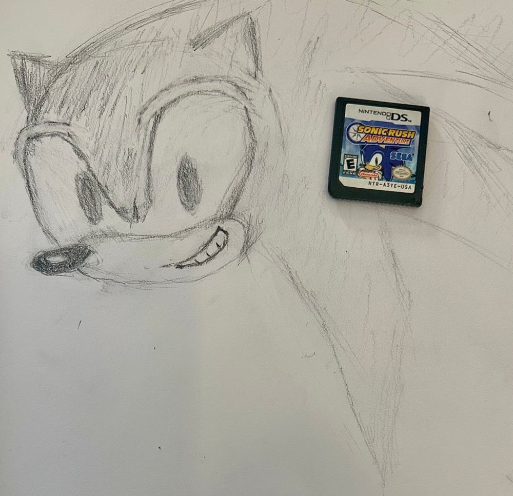Sonic the hedgehog 