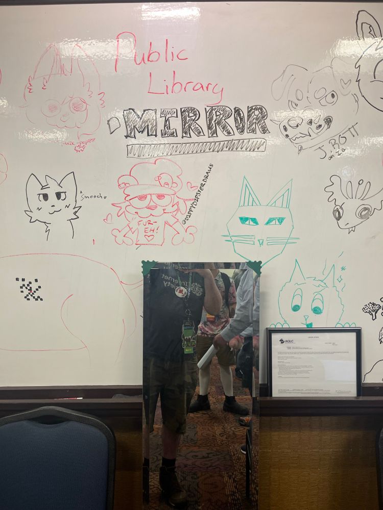 Picture of a whiteboard with “furry” drawings and the word “Mirror” next to a mirror.