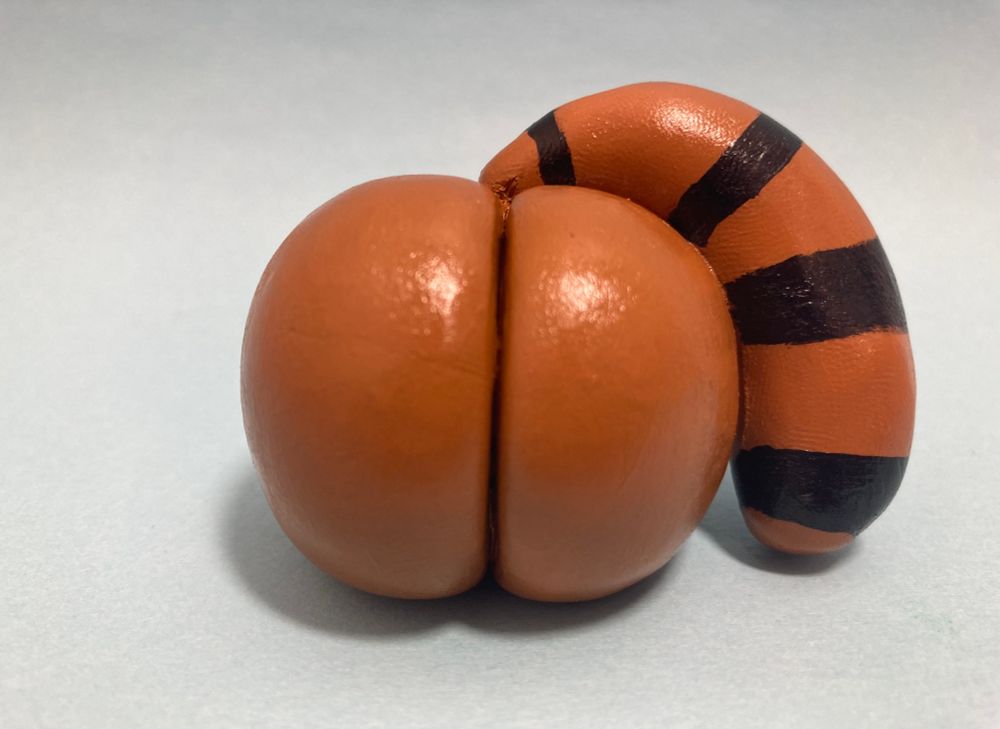 Raccoon Butt 🦝🍑