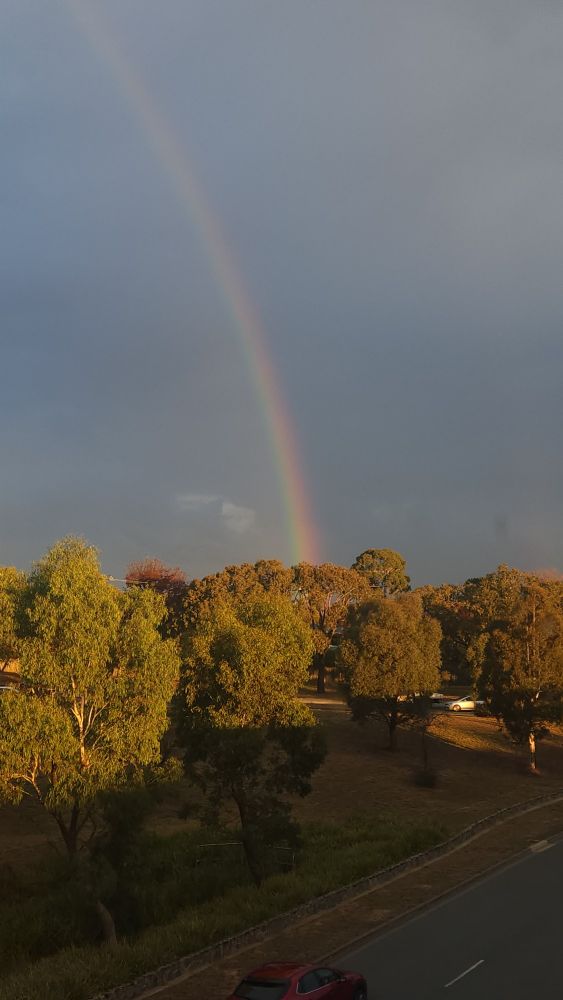 A rainbow against a grey sky going into some gum trees, there's a road in the foreground 