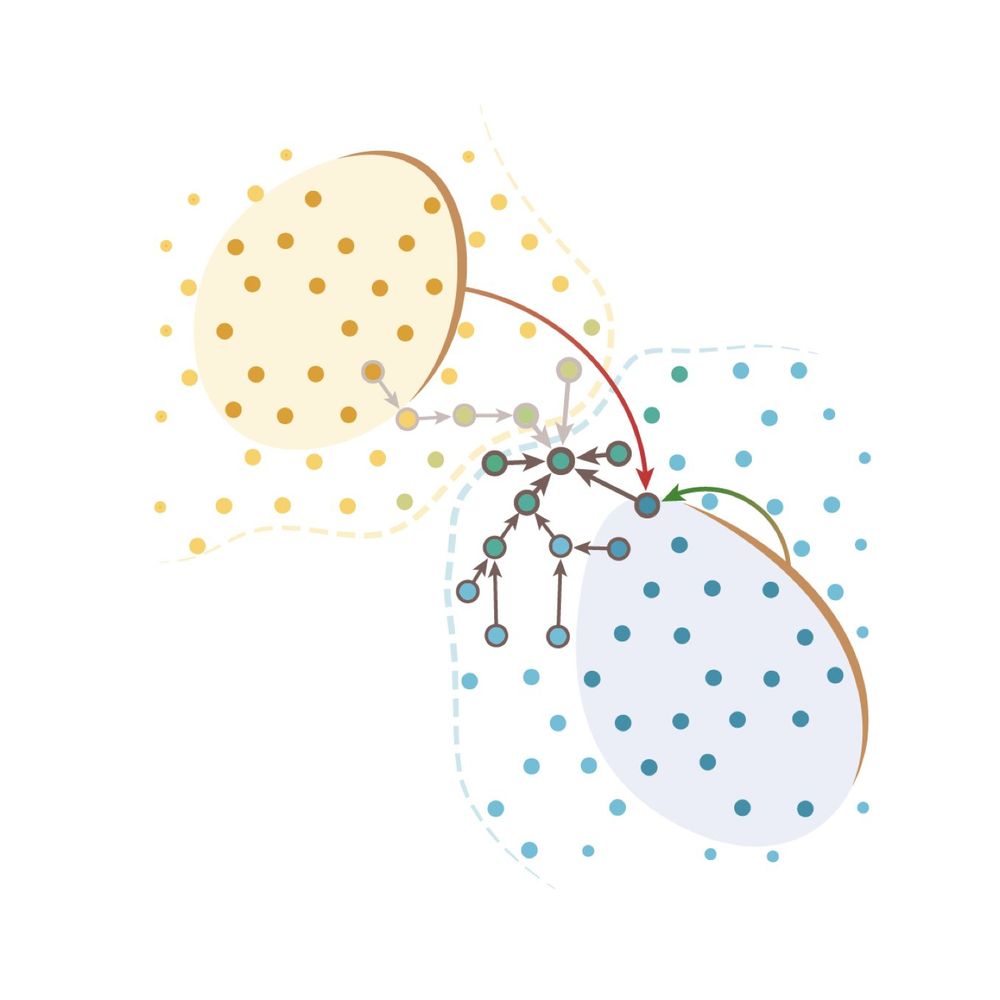 Message passing intuition behind the segger’s link-prediction model and the network architecture