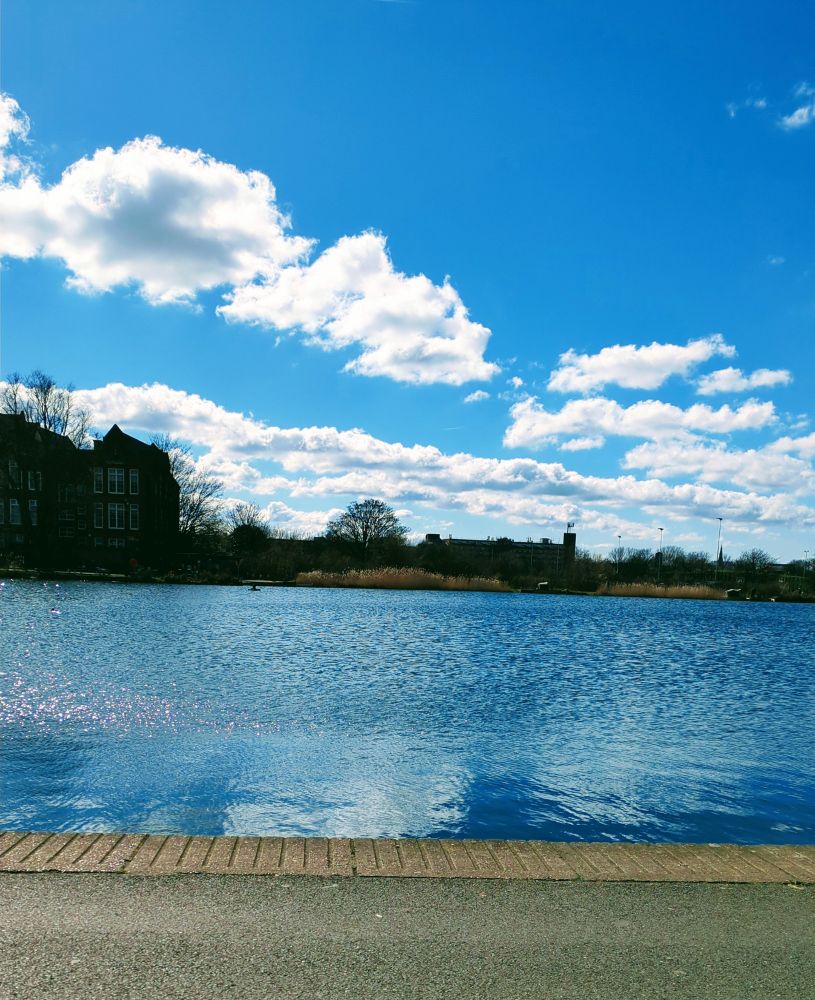 The lake in Burgess Park looking gently rippled under a vivid blue sky and a line of pretty clouds. Footpath in the foreground. Trees and buildings in shadow between water and sky. Taken yesterday, Sunday, 16th March in the year of collapse 2025. 