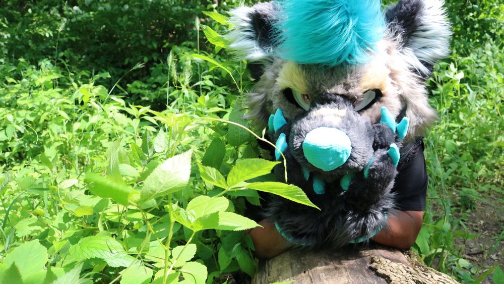 person wearing a colorful hyena fursuit looking at the camera with hands on chin