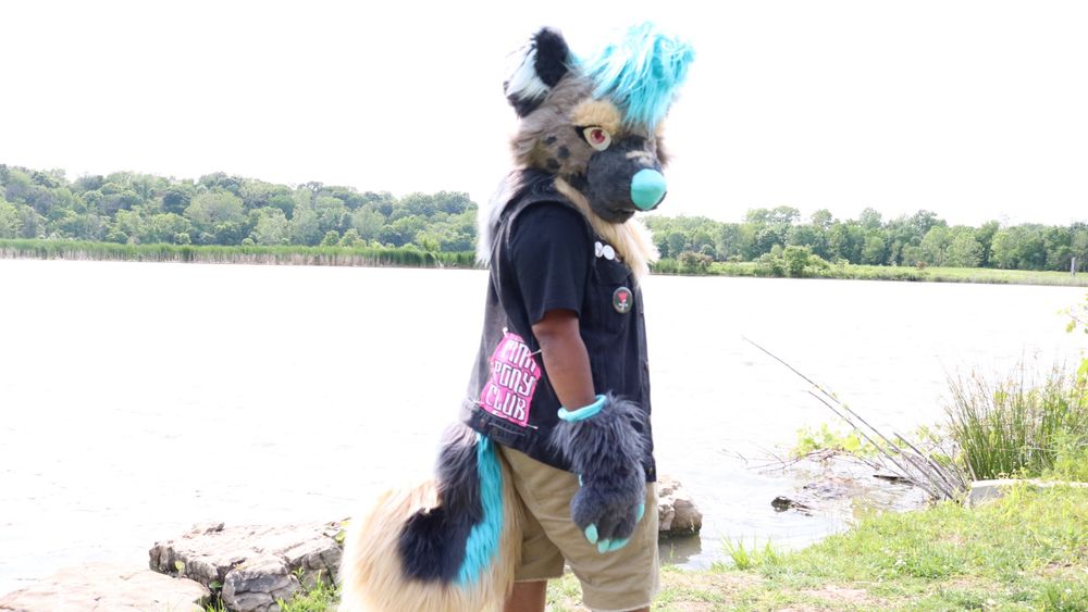 person in colorful hyena fursuit standing in front of a lake looking back at the camera