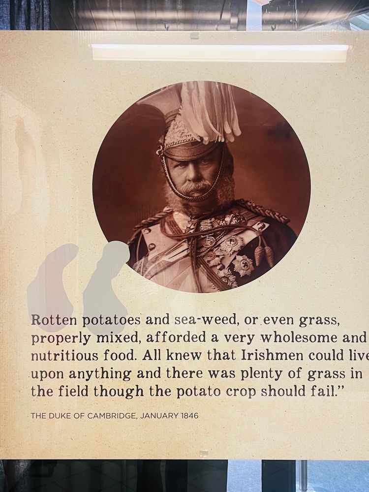 Rotten potatoes and sea-weed, or even grass, properly mixed, afforded a very wholesome and nutritious food. All knew that Irishmen could liv upon anything and there was plenty of grass in the field though the potato crop should fail."
THE DUKE OF CAMBRIDGE, JANUARY 1846