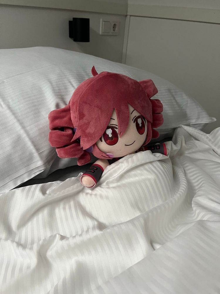 teto sleeping