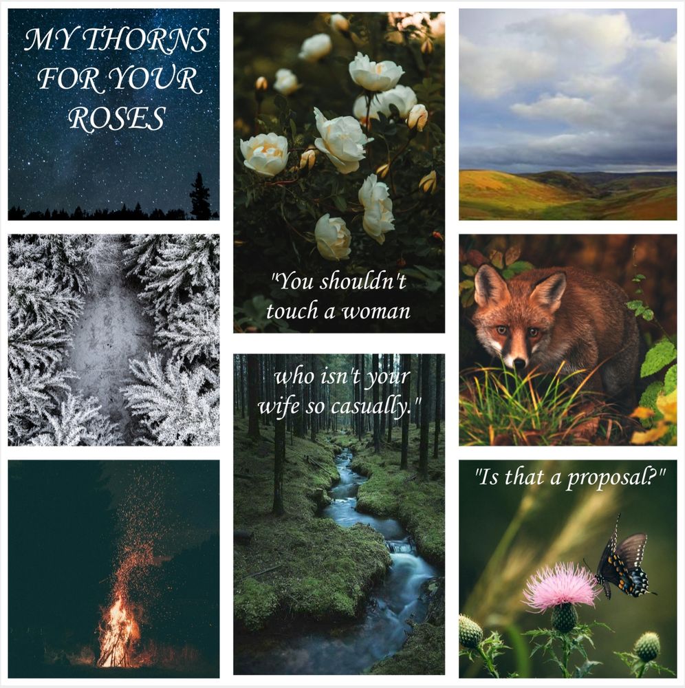 A mood board for "My Thorns For Your Roses." 

A collage of scenic photos which includes a night sky, a pine forest covered in snow, a bonfire, a stream in a dark wood, a butterfly on a thistle flower, a fox in an autumn wood, the Scottish lowlands, and a shrub of white roses in full blossom.

At the center, a quote is pair of quotes: "You shouldn't touch a woman who isn't your wife so casually." Then, "Is that a proposal?"