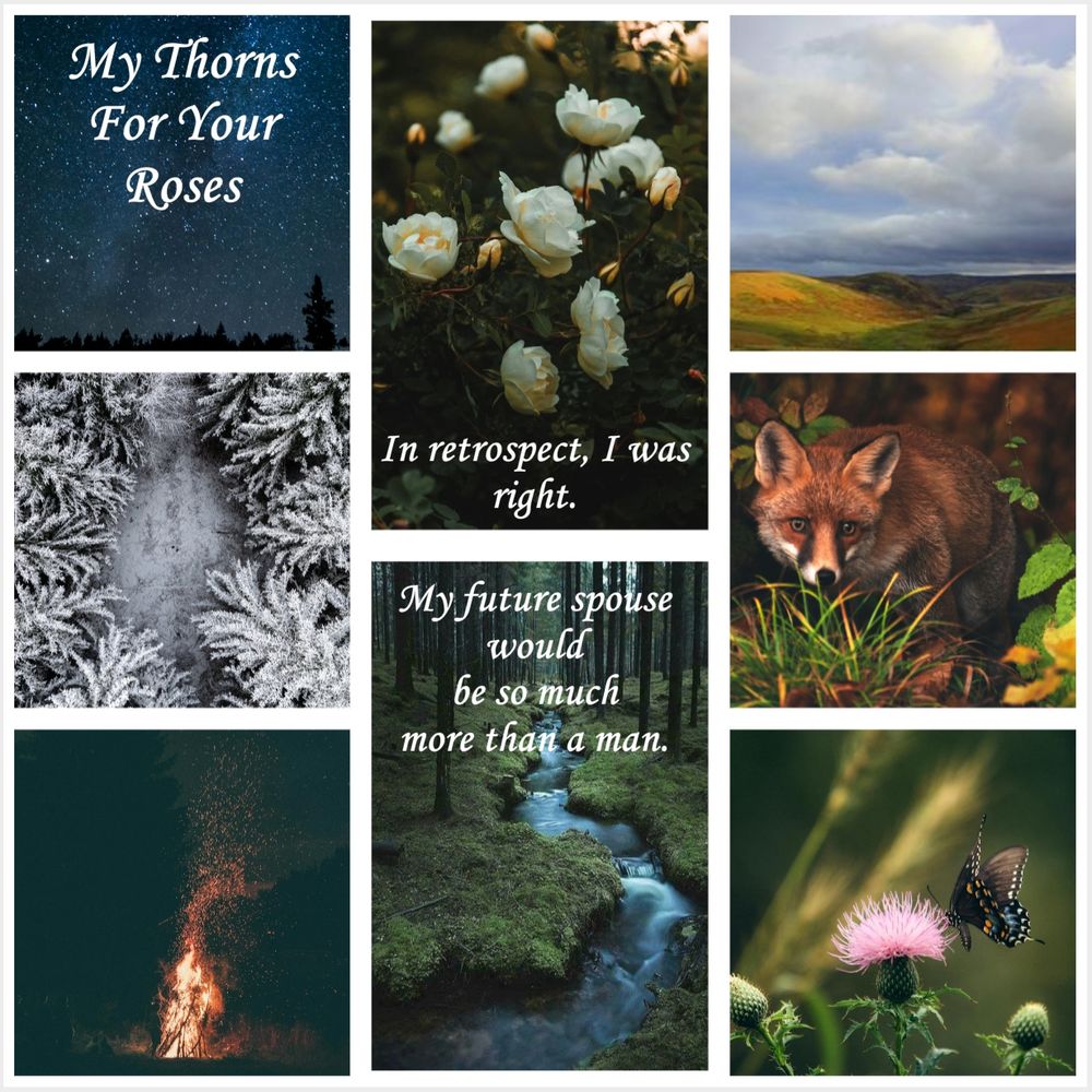 A mood board for "My Thorns For Your Roses." 

A collage of scenic photos which includes a night sky, a pine forest covered in snow, a bonfire, a stream in a dark wood, a butterfly on a thistle flower, a fox in an autumn wood, the Scottish lowlands, and a shrub of white roses in full blossom.

At the center, a quote is included: "In retrospect, I was right. My future spouse would be so much more than a man."