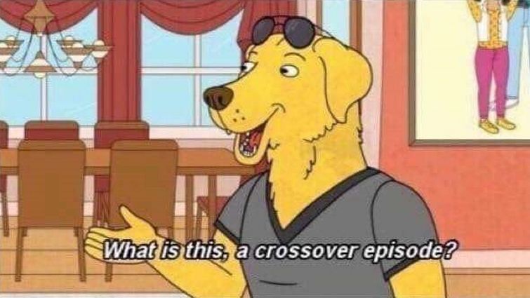 Mr Peanutbutter from Bojack Horseman asking "What is this, a crossover episode?"