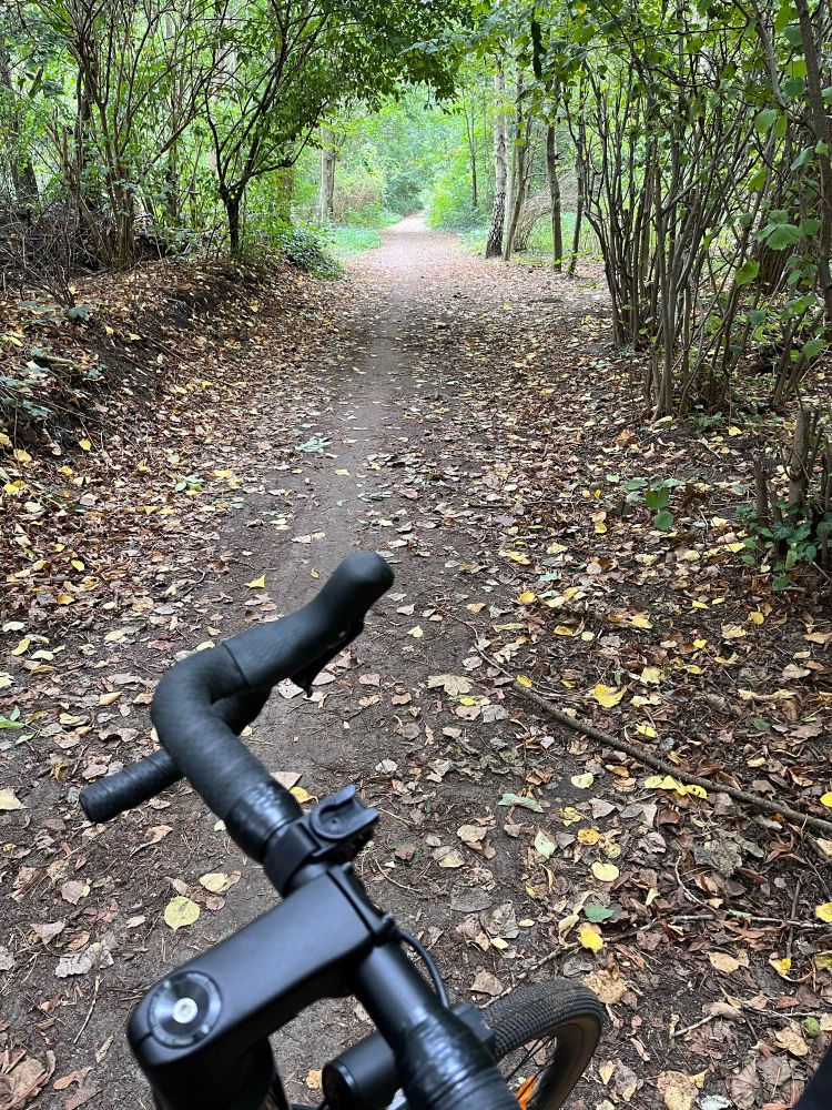 Waldweg mit einem Rennradlenker im 
Vordergrund.