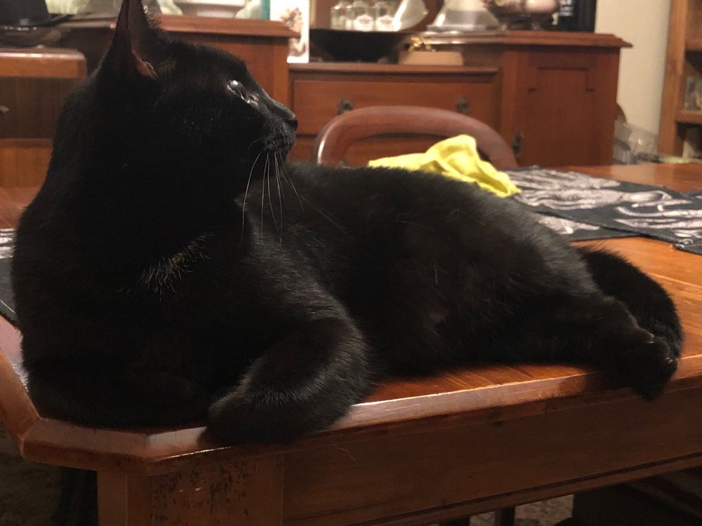 A large black cat lying luxuriously on the end of a wooden dining table. 