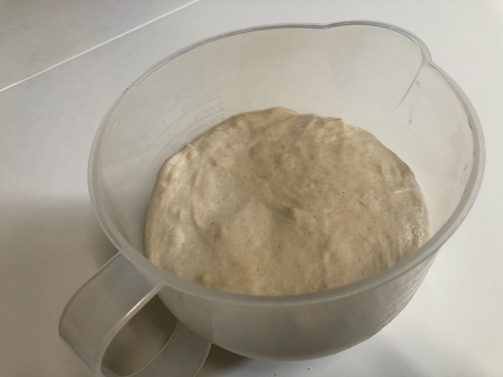 A clear plastic 2 quart bowl with a slightly bubbly mass of fermenting sourdough. The dough colour is off-white due to the rye flour content. 