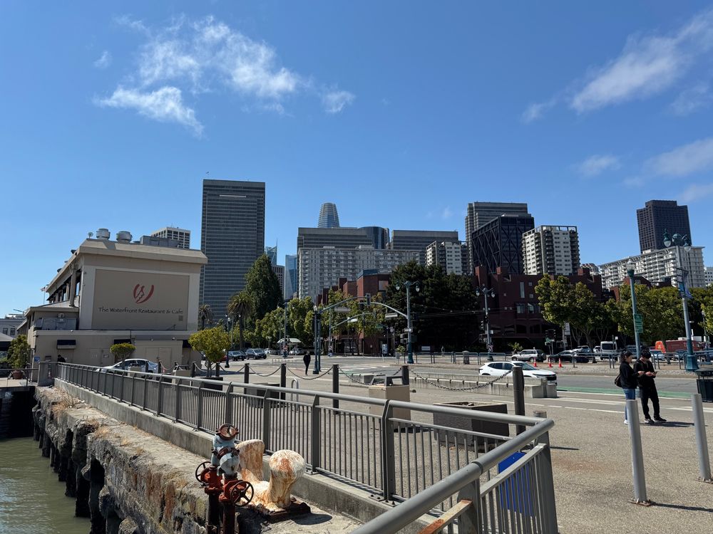 The San Francisco skyline.