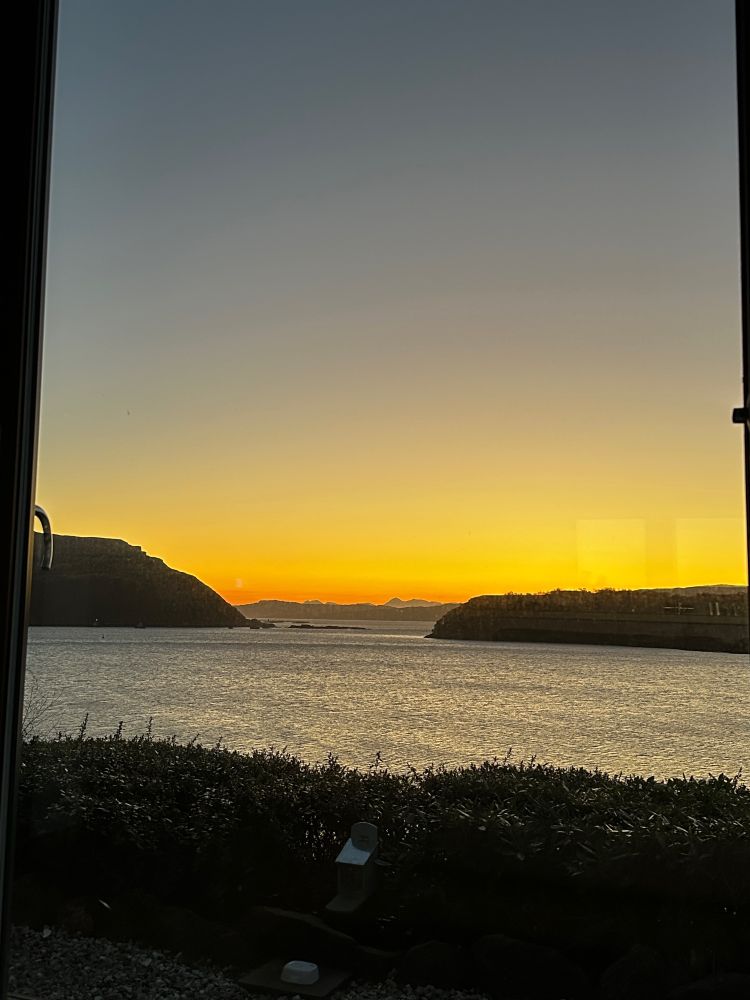 Pre sunrise yellow orange skies, hills in the distance, water in the middle and foliage in the foreground 