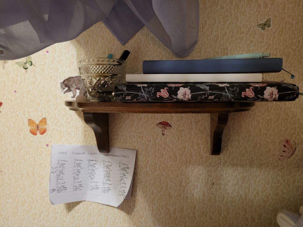 Closer to where scooters head lays, and under the canopy is another slightly larger floating shelf. It has an antique glass cup holding; their engagement rings, vape pen, hair tie, chapstick. There are a few stone frogs and bug on the shelf. 
The shelf also houses 3 notebooks and a pen. 
Each notebook serves a different purpose. 

Sticking out from the leg of the shelf is a piece of paper with a day to day schedule for when there are no added appointments. 