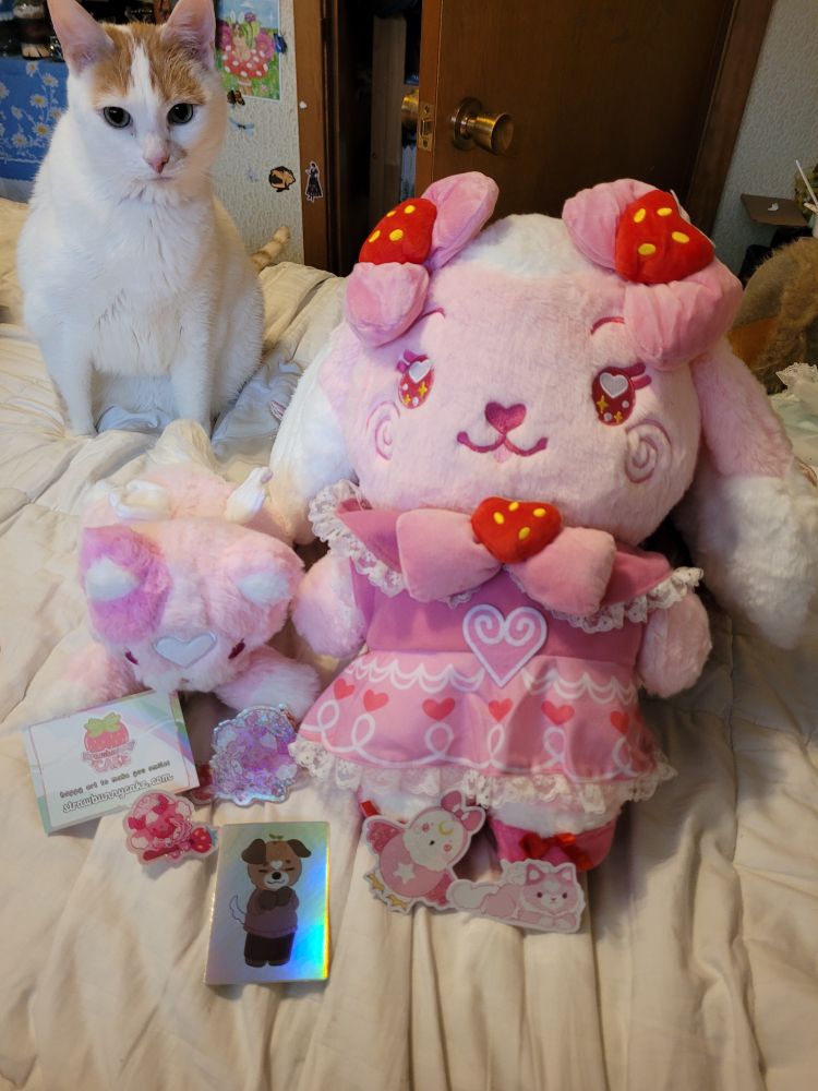 Foreground: stickers of a pink owl and pink angel cat, holographic card of a brown puppy, pin and charm of pink bunny on a strawberry witches broom 

Mid ground: honeybun (the pink bunny) plush at 18 inches large, and valentine (the pink angel cat) plush that's about 8 inches long 

Background: my kitty smudge looking at the camera posing with the new things 