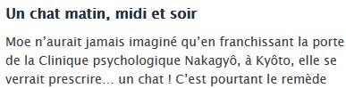 Un chat matin, midi et soir
Moe n’aurait jamais imaginé qu’en franchissant la porte de la Clinique psychologique Nakagyô, à Kyôto, elle se verrait prescrire… un chat !