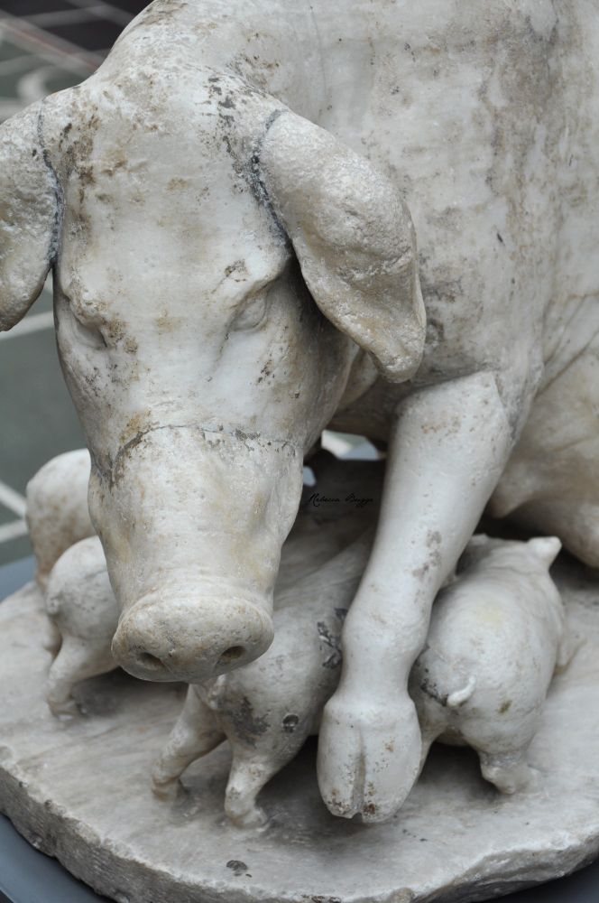 Marble sculpture of a pig with big ears and four piglets. This photo is a section of the sculpture, showing the pig's head and left foot. She is shielding the piglets, which you see from the back, with her foot, and she seems to be looking straight into the camera. 