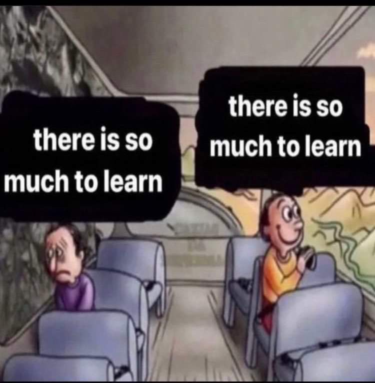 a meme of two men on a train, one sad looking at the wall and one happy looking out the window. above both men are written the words there is so much to learn.
