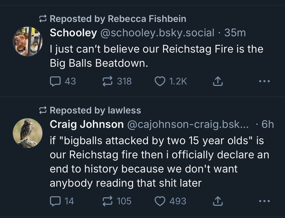 Reposted by Rebecca Fishbein
Schooley@schooley.bsky.social • 35m
I just can't believe our Reichstag Fire is the Big Balls Beatdown.
43
₫ 318
• 1.2K
• • •
≥ Reposted by lawless
Craig Johnson@cajohnson-craig.bsk... • 6h if "bigballs attacked by two 15 year olds" is our Reichstag fire then i officially declare an end to history because we don't want anybody reading that shit later
14
₴ 105
• 493
...