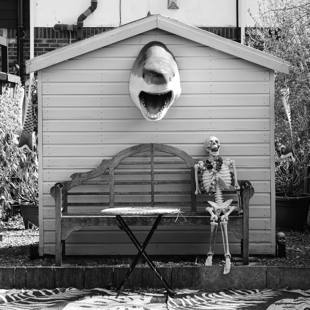 A skelton sits on a bench beside a wooden shed. There’s a shark head above. A quirky canalside resting space