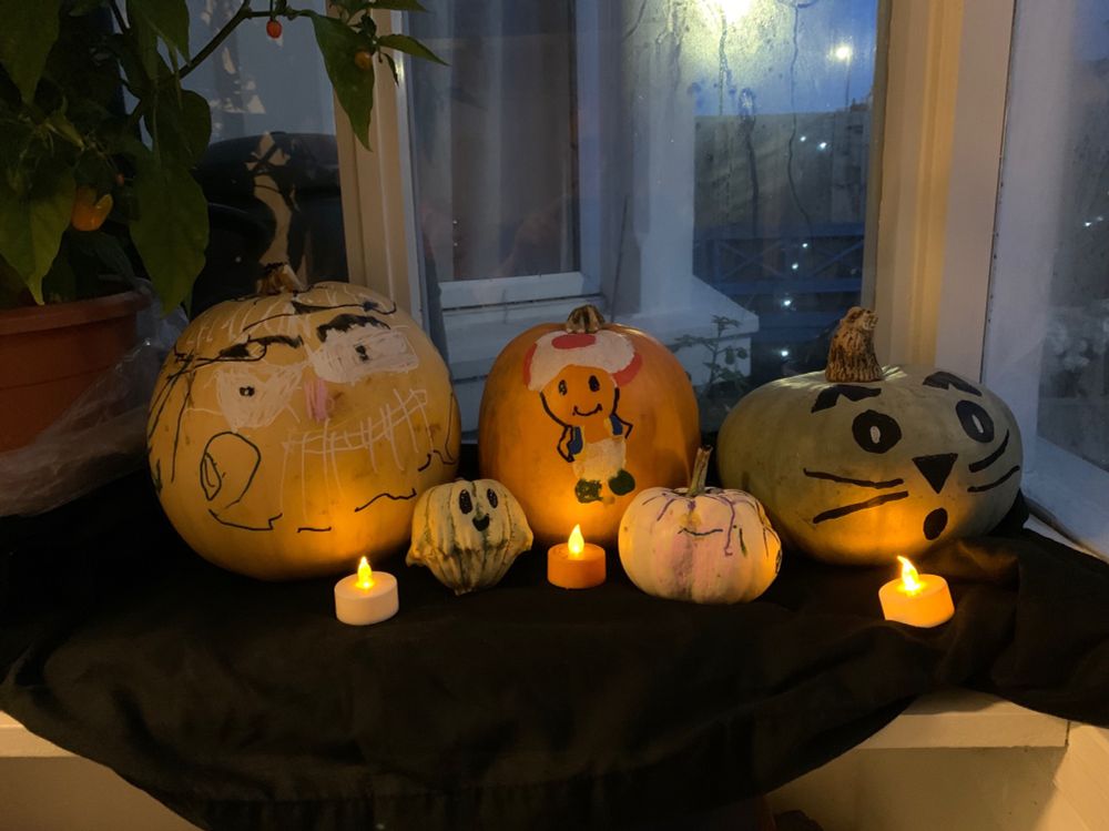 A selection of pumpkins decorated for Halloween. A skull, Toad, and cat.
