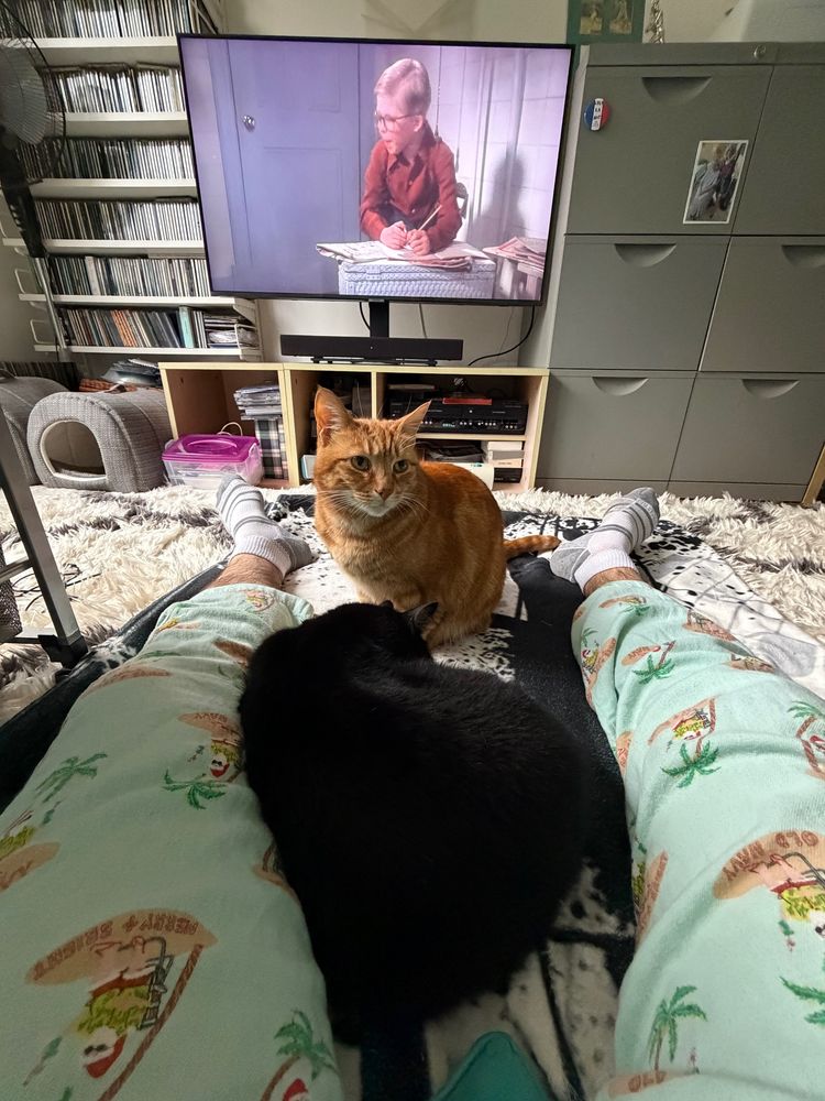A photo of my legs in a pair of gaudy tropical Santa themed pajama pants as I sit on the floor with my orange tabby cat Benji and his black cat brother Nori sitting on my legs as A CHRISTMAS STORY (1983) plays in the tv in the background