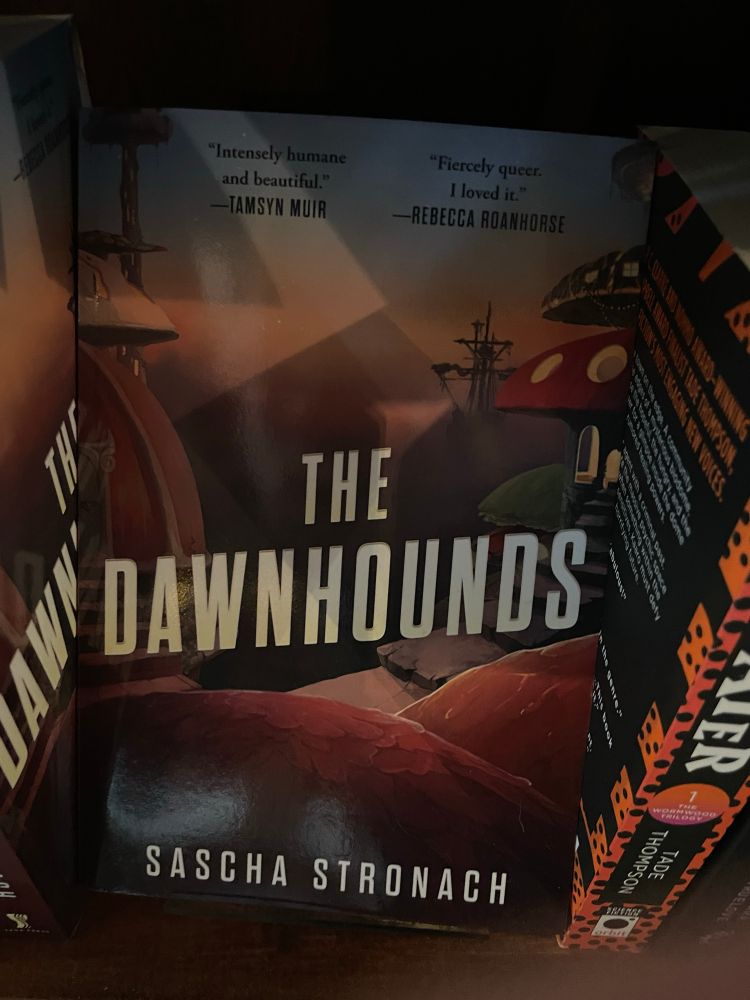 a photo of The Dawnhounds by Sasha Stronach face out on a bookshelf
