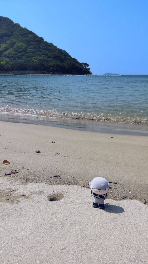 海