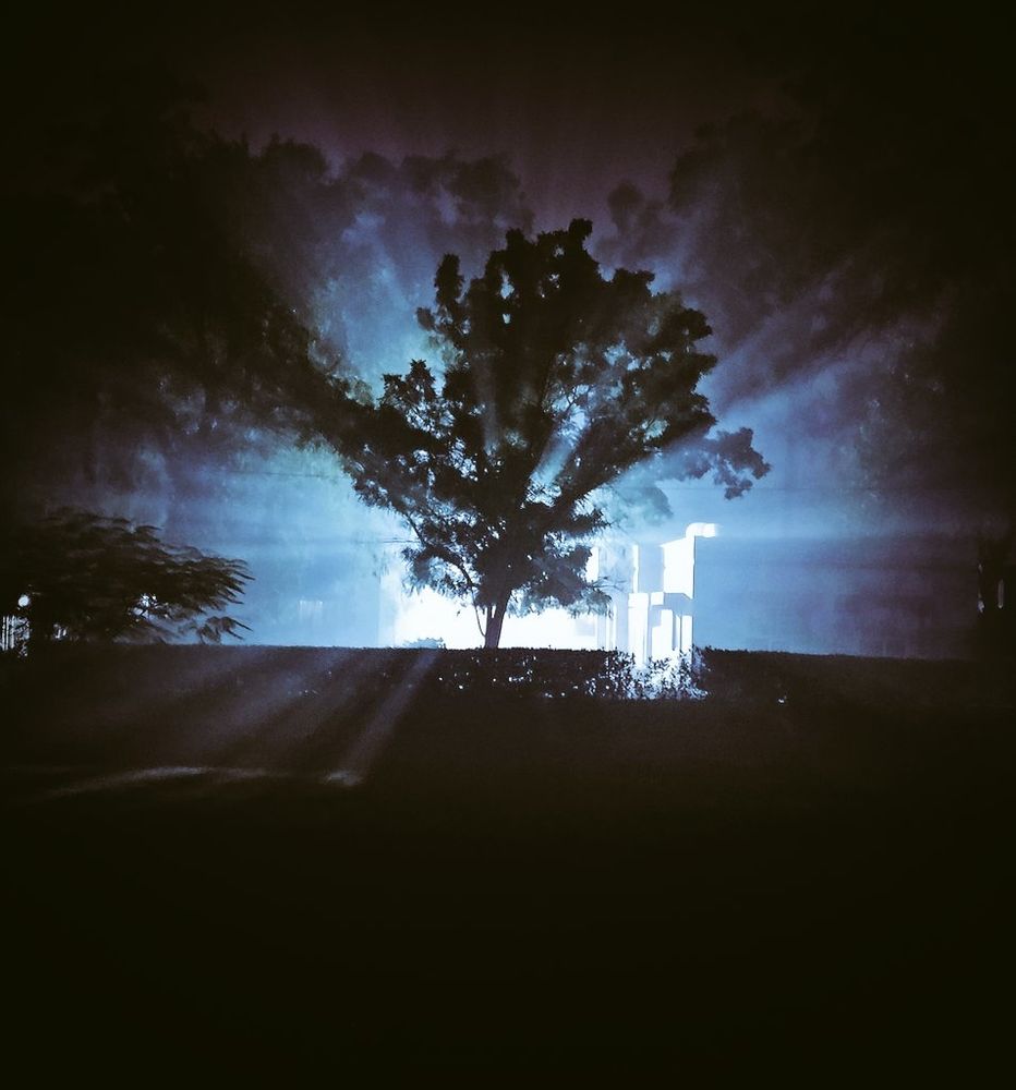 Night in foggy winter 