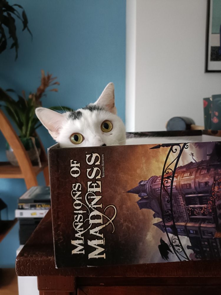 Offending cat in box