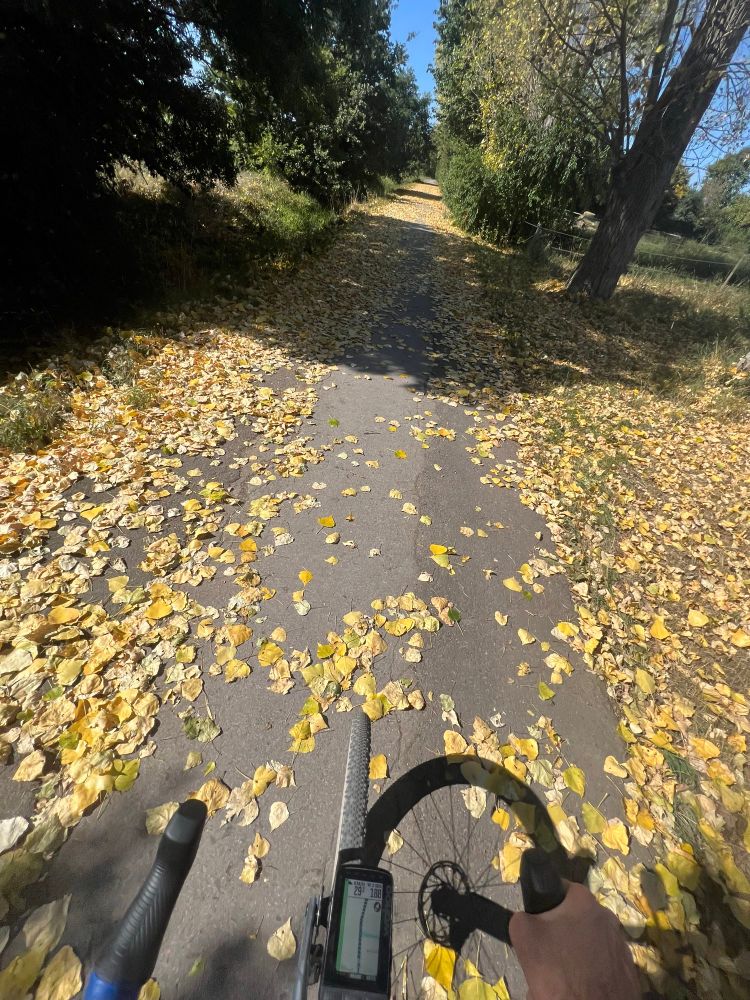 Fahrrad auf asphaltiertem Radweg, viel gelbes Laub